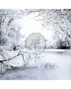 Winter Lake Computer Printed Photography Backdrop ZJZ-711