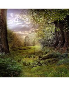 Green Pathway Computer Printed Photography Backdrop ZJZ-716