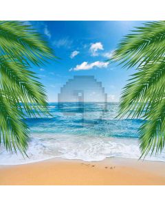 Beautiful Beach Computer Printed Photography Backdrop ZJZ-752
