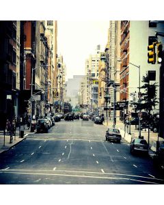European Street Computer Printed Photography Backdrop ZJZ-760