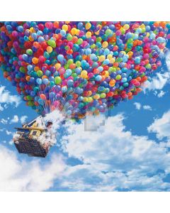 Flying House Computer Printed Photography Backdrop ZJZ-765