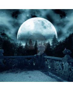 Moon Night Sky  Computer Printed Photography Backdrop ZJZ-779
