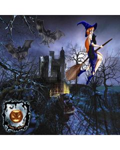 Witch On The Broom Computer Printed Photography Backdrop ZJZ-786