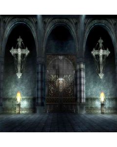 Goth Hall Computer Printed Photography Backdrop ZJZ-790