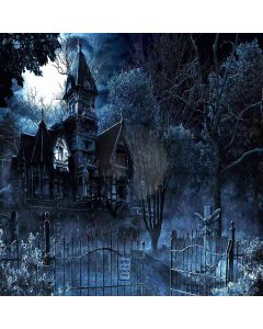 Spooky House Computer Printed Photography Backdrop ZJZ-792