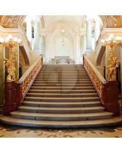 Stairs In Fancy Hall Computer Printed Photography Backdrop ZJZ-803