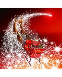 Christmas Sleigh Computer Printed Photography Backdrop ZJZ-807