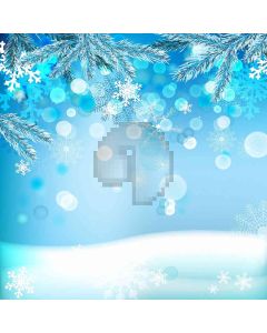 Winter Land Computer Printed Photography Backdrop ZJZ-810