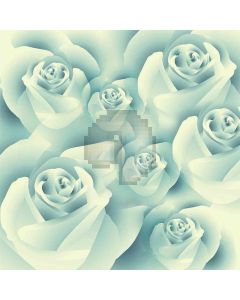 White Roses Computer Printed Photography Backdrop ZJZ-814