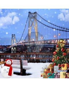 Christmas Tree And The Bridge Computer Printed Photography Backdrop ZJZ-821