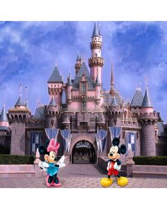 Cartoon Characters And The Castle Computer Printed Photography Backdrop ZJZ-826