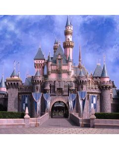 The Castle Computer Printed Photography Backdrop ZJZ-827