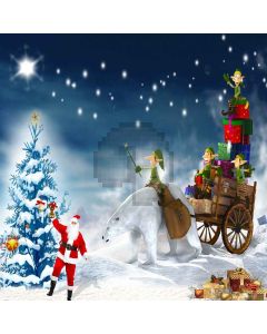 Wonderful Christmas Night Computer Printed Photography Backdrop ZJZ-836