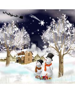 Romantic Snow Computer Printed Photography Backdrop ZJZ-850