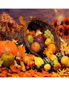 Tempting Fruits Computer Printed Photography Backdrop ZJZ-851