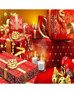 Diverse Gifts Computer Printed Photography Backdrop ZJZ-858