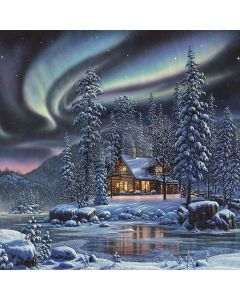 Frozen River Computer Printed Photography Backdrop ZJZ-862