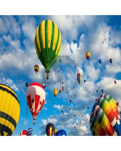 Pretty Hot Air Balloons Computer Printed Photography Backdrop ZJZ-869