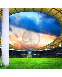 Sports Stadiums Computer Printed Photography Backdrop ZJZ-874