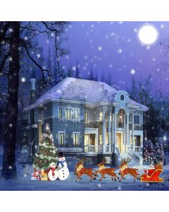 Wonderful Christmas Night Computer Printed Photography Backdrop ZJZ-878