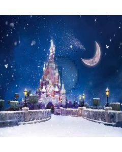 Lovely Castle Computer Printed Photography Backdrop ZJZ-882