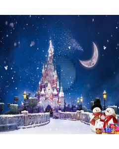 Snow-covered Castle Computer Printed Photography Backdrop ZJZ-895