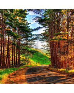 Country Lanes Computer Printed Photography Backdrop ZJZ-901