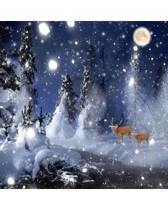 Snowy Night Computer Printed Photography Backdrop ZJZ-903