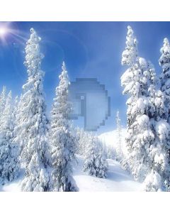 Snow-covered Trees Computer Printed Photography Backdrop ZJZ-912