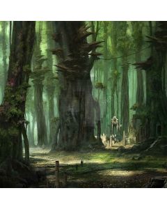 Secret Forest  Computer Printed Photography Backdrop ZJZ-913