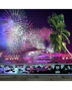 Spectacular Fireworks Computer Printed Photography Backdrop ZJZ-919