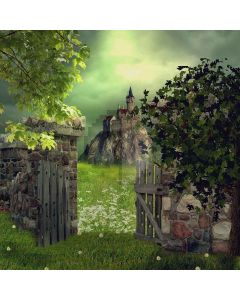 Shabby Castle Computer Printed Photography Backdrop ZJZ-923