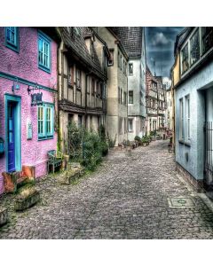 Crowded Houses Computer Printed Photography Backdrop ZJZ-924