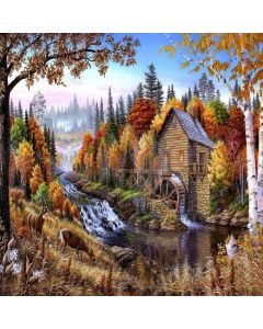 Forest Home  Computer Printed Photography Backdrop ZJZ-925