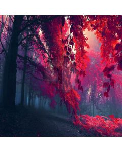 Beautiful Maple Leaves  Computer Printed Photography Backdrop ZJZ-930