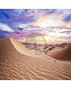 Desolation Desert  Computer Printed Photography Backdrop ZJZ-932