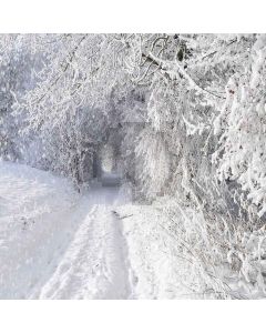 Thick Snow Computer Printed Photography Backdrop ZJZ-943