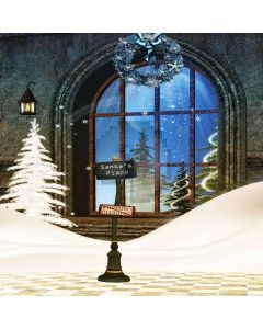 Arched Window Computer Printed Photography Backdrop ZJZ-951