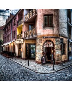 City Streets Computer Printed Photography Backdrop ZJZ-952