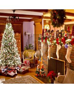 Rich Christmas Presents Computer Printed Photography Backdrop ZJZ-957