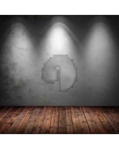 Reflection Light Wall  Computer Printed Photography Backdrop ZJZ-962