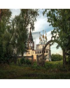 Old Castle  Computer Printed Photography Backdrop ZJZ-964