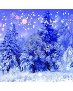 Stunning Snow Scene Computer Printed Photography Backdrop ZJZ-968