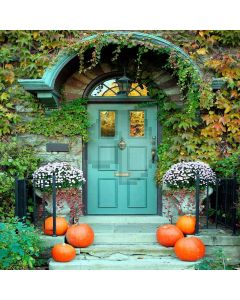 Arched Door Computer Printed Photography Backdrop ZJZ-971