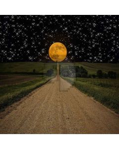 Bright Night Computer Printed Photography Backdrop ZJZ-979