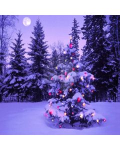 Wonderful Christmas Tree Computer Printed Photography Backdrop ZJZ-982