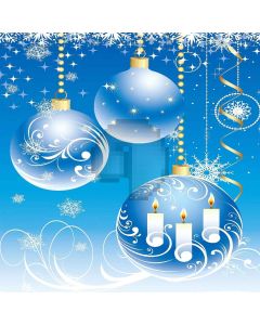 Nice Snowflakes Computer Printed Photography Backdrop ZJZ-991