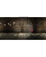 Brick Wall Newspaper Garbage Can Computer Printed Dance Recital Scenic Backdrop ACP-664