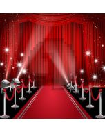 Curtain Red Carpet Pillar Computer Printed Photography Backdrop AUT-298