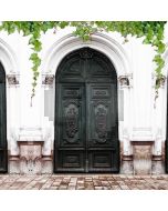 Door Plant Computer Printed Photography Backdrop AUT-917